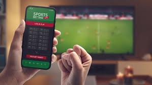 Discover the Exciting World of royalebd - Your Ultimate Betting Destination