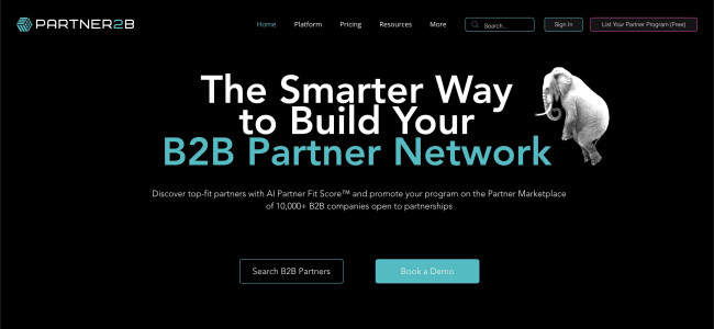 Effective Pricing Services for B2B A Comprehensive Guide