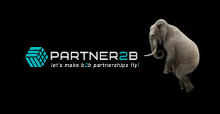 Effective Pricing Services for B2B A Comprehensive Guide
